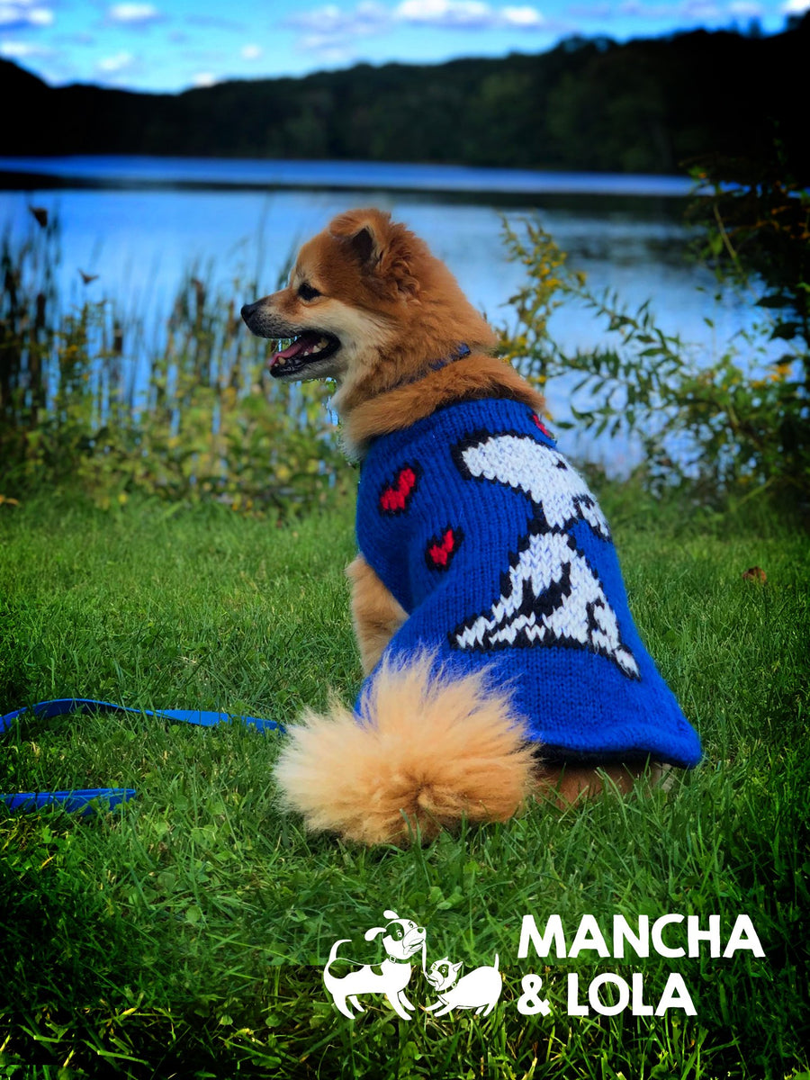 Blue Valentine Doggie Sweater – MANCHAANDLOLA