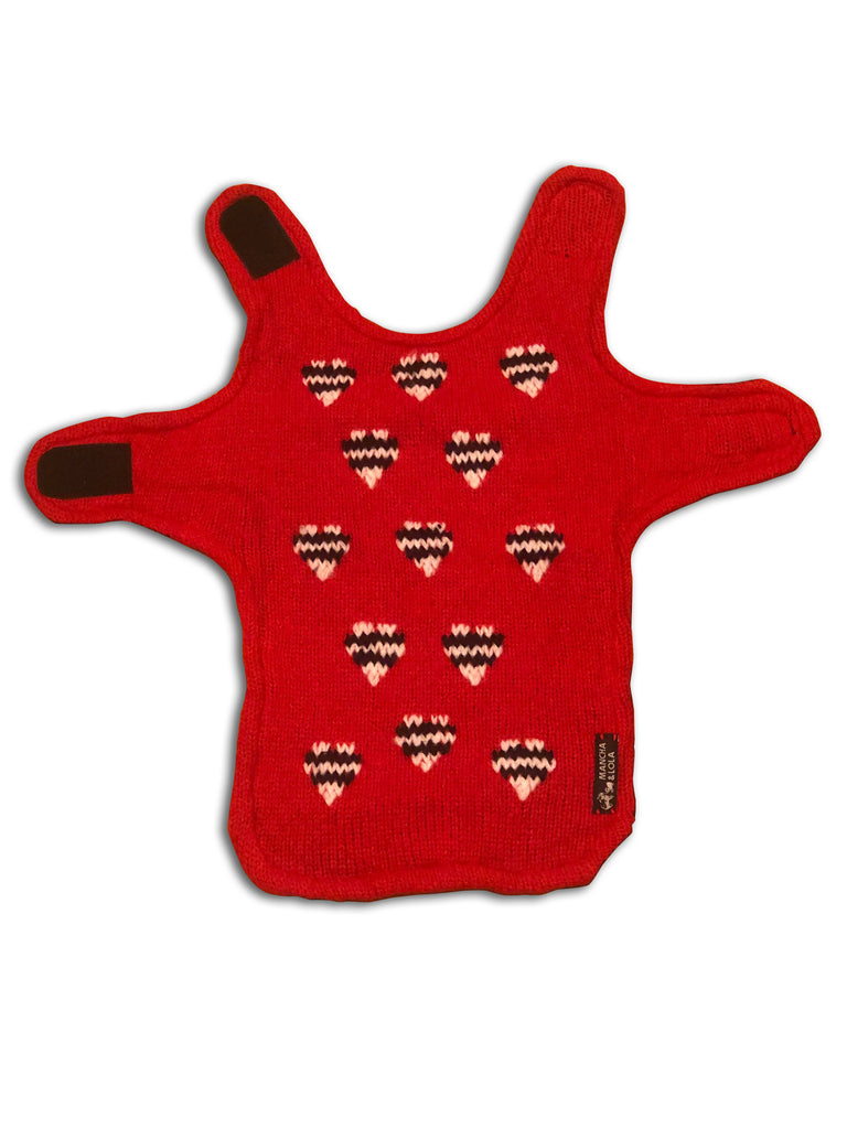 Chilly Heart Doggie Sweater