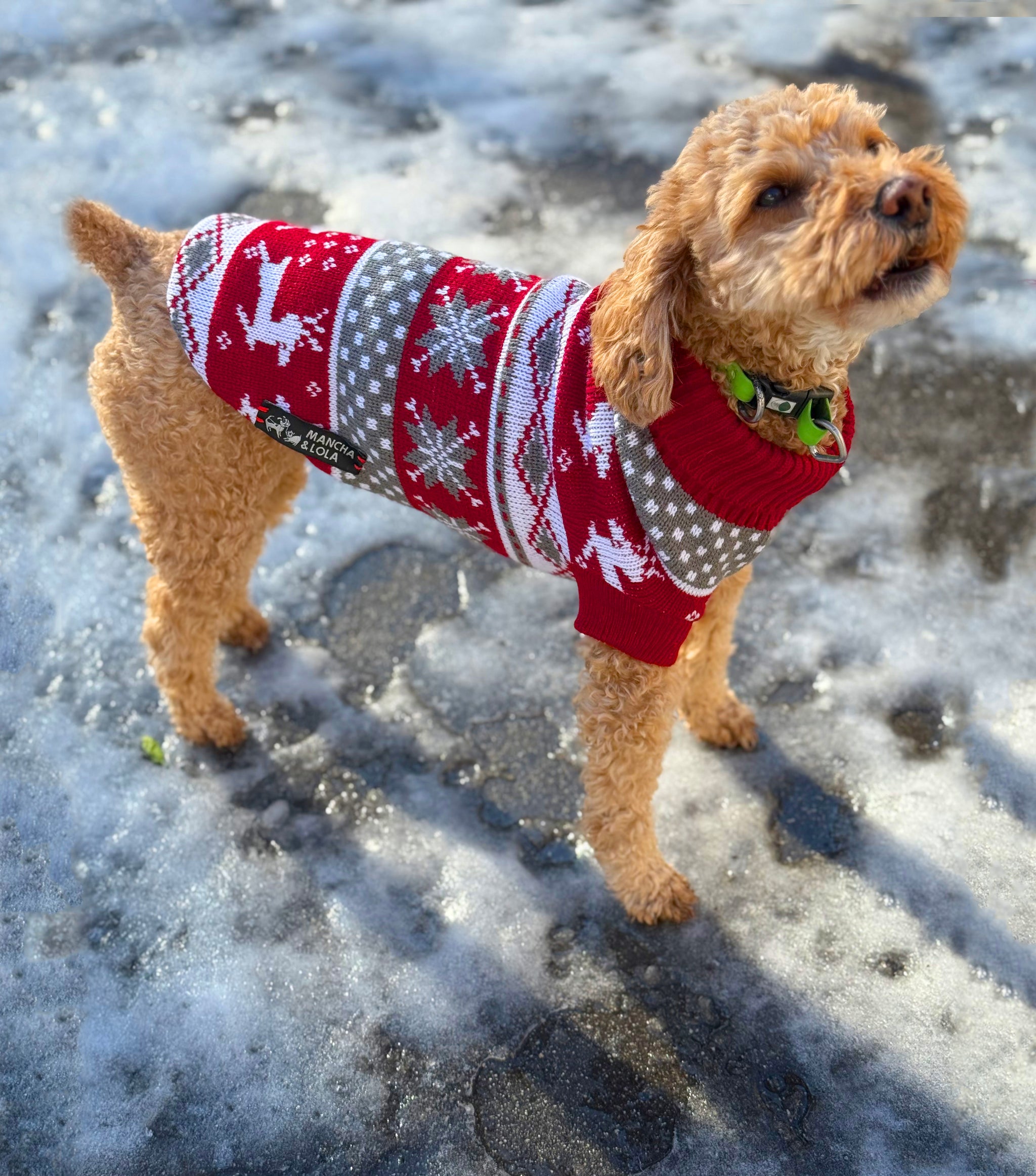 Christmas vest