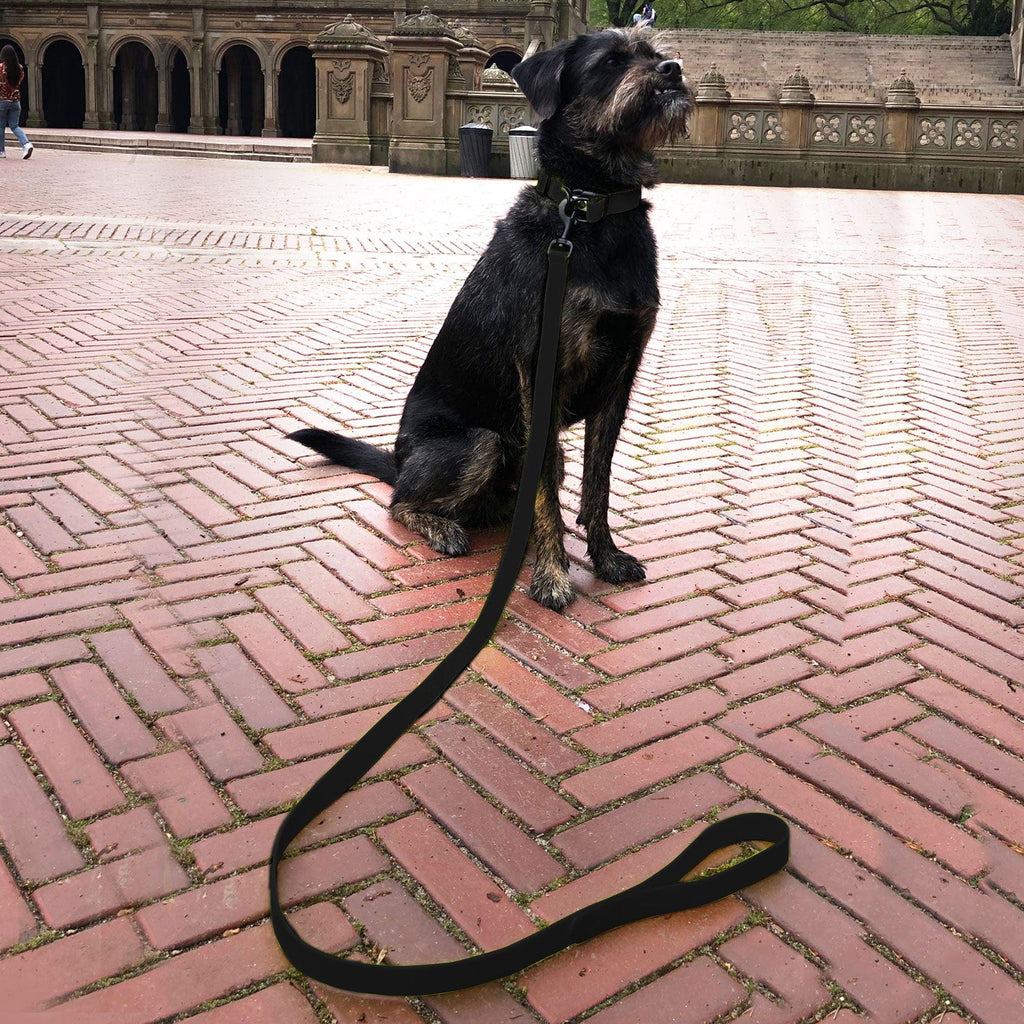 Black Waterproof dog collar 