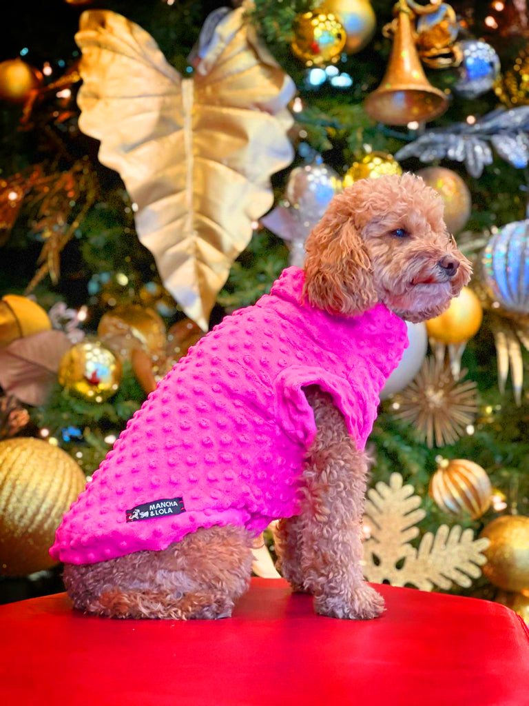 Fall Dog Clothes | Shop Fall Dresses for Dogs - Mancha & Lola MANCHAANDLOLA Fall Dog Clothes | Shop Fall Dresses for Dogs - Mancha & Lola MANCHAANDLOLA