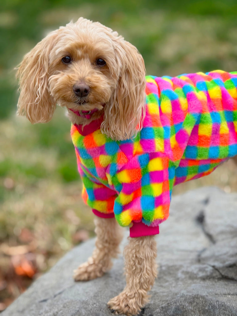 Fall Dog Clothes | Shop Fall Dresses for Dogs - Mancha & Lola MANCHAANDLOLA Fall Dog Clothes | Shop Fall Dresses for Dogs - Mancha & Lola MANCHAANDLOLA