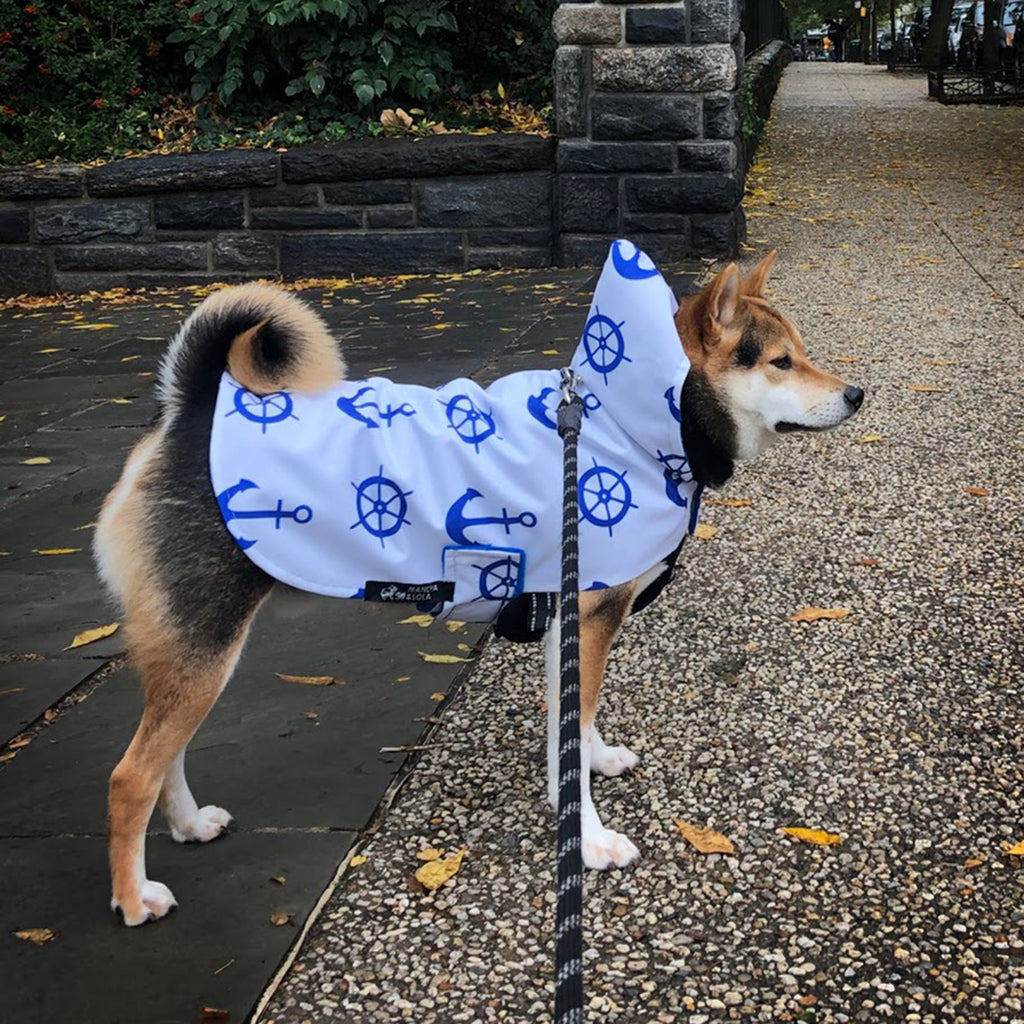 Naughty Raincoats for Dog