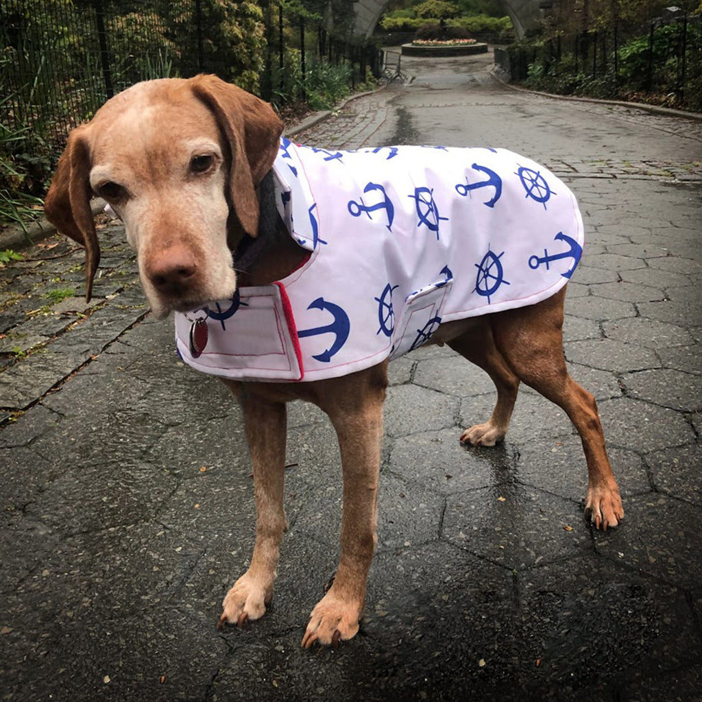 Naughty Dog Raincoat