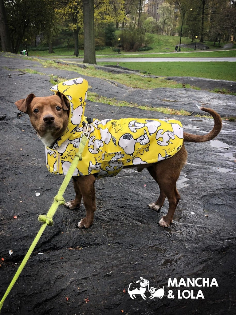 Yellow Reversible Hooded Snoopy Raincoat