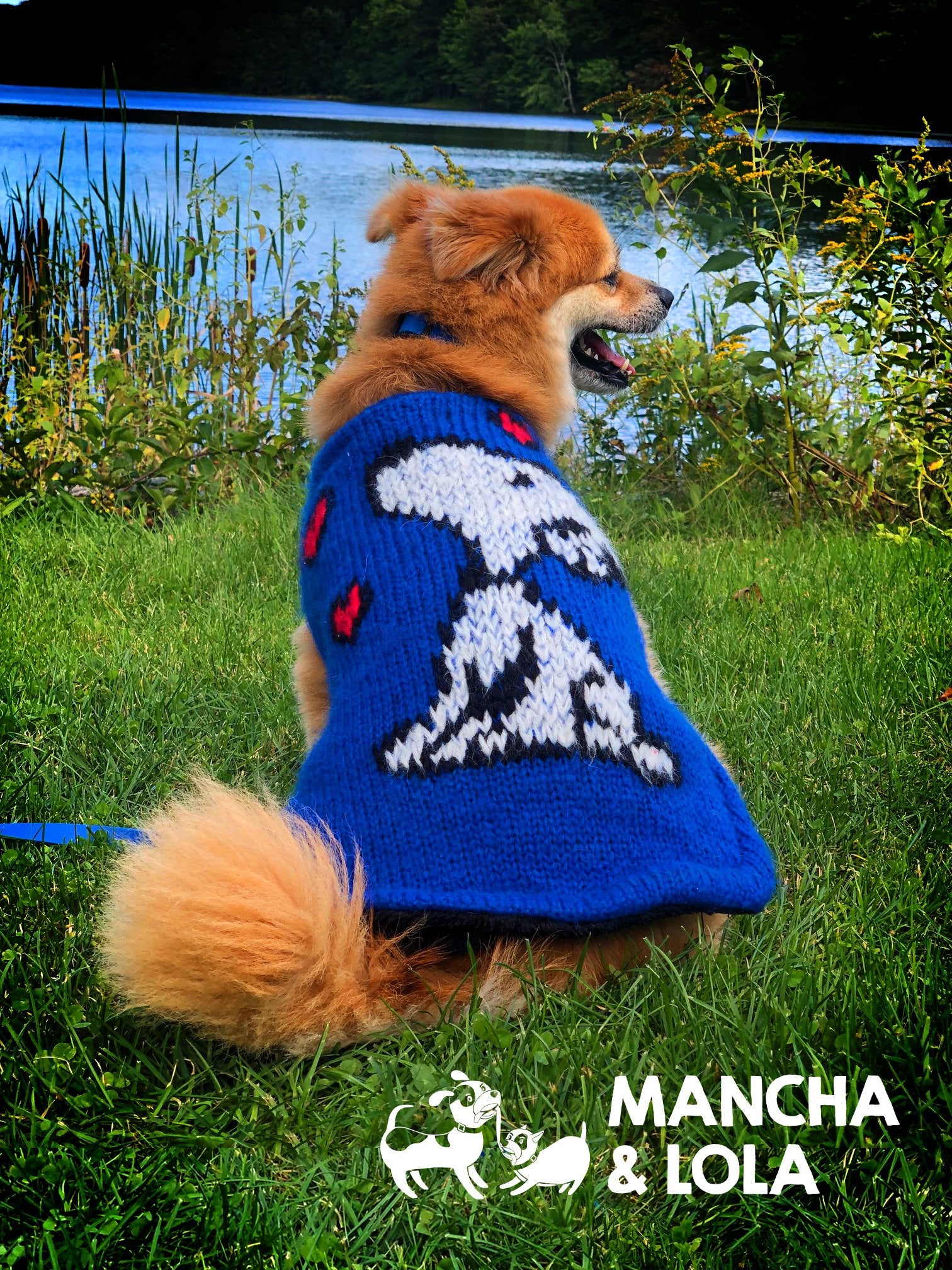 Blue Valentine Doggie Sweater – MANCHAANDLOLA