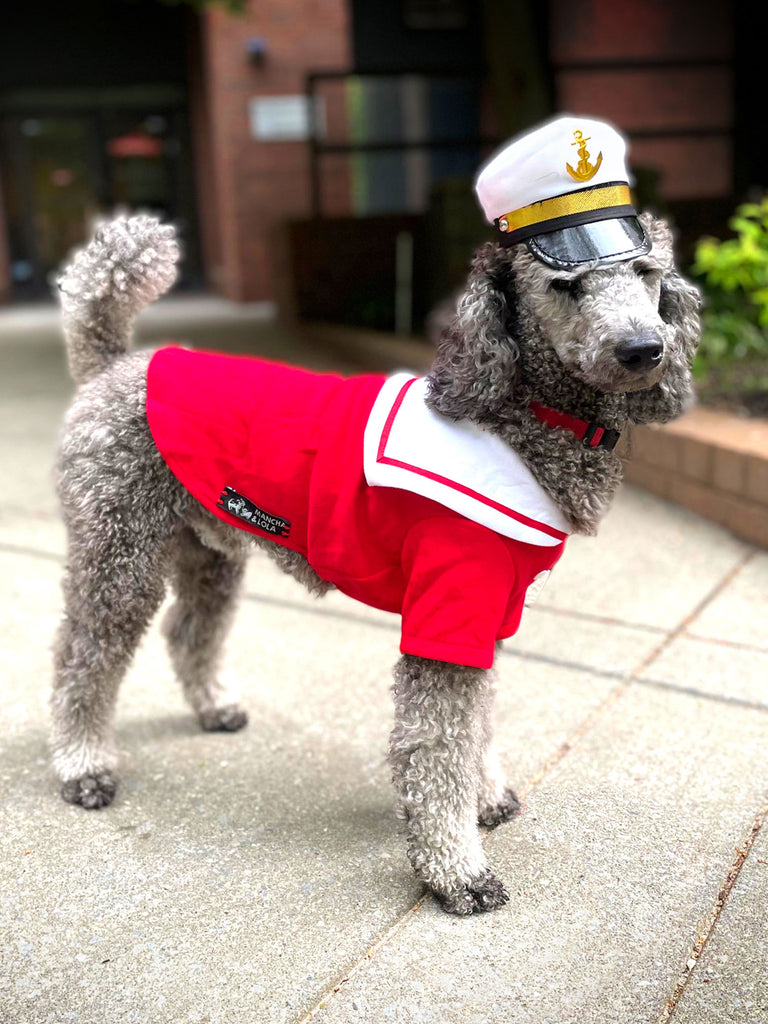 Captain Doggie to the Rescue