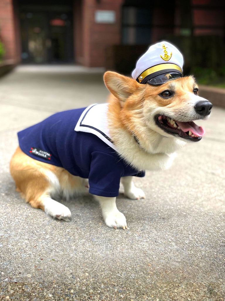 Blue Captain Style Dog T-Shirts