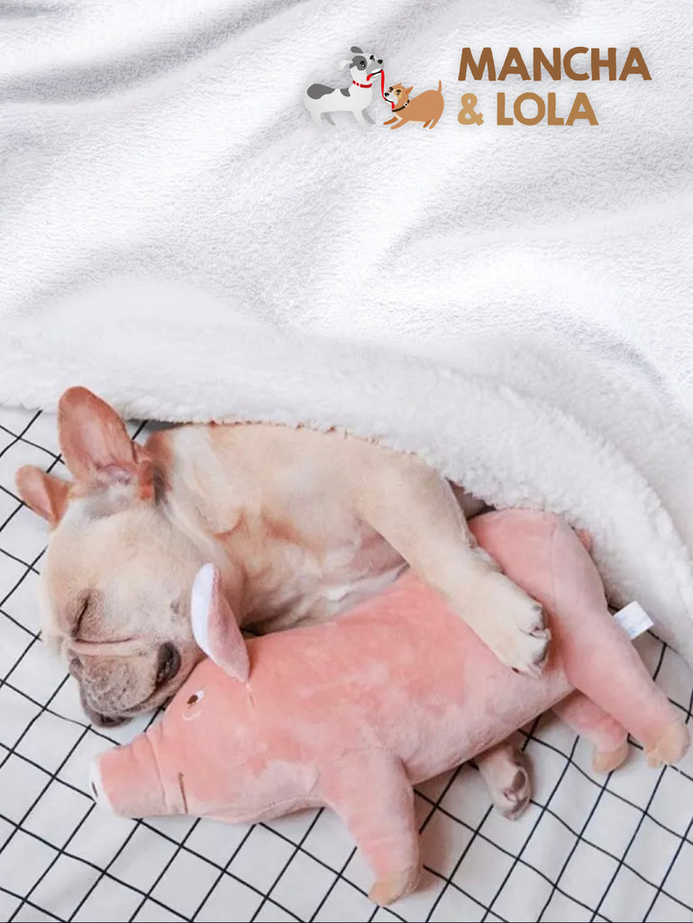 Soft Pig Toy for Dogs