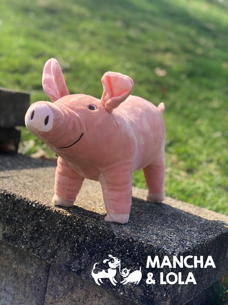 Pig Toy for Dogs