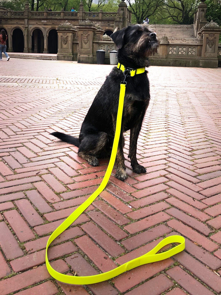 "Yellow Waterproof dog collar "