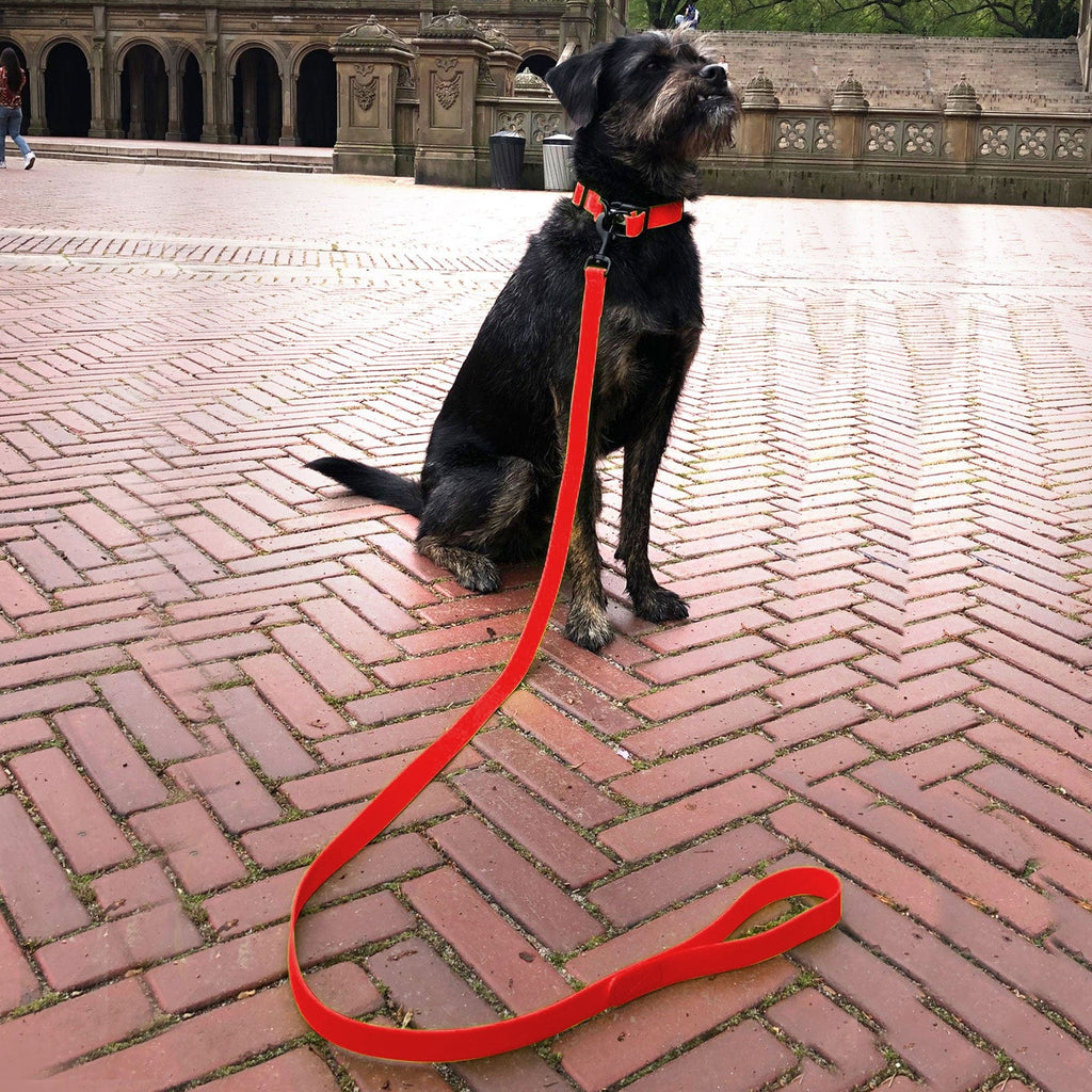 Red Waterproof dog collar 