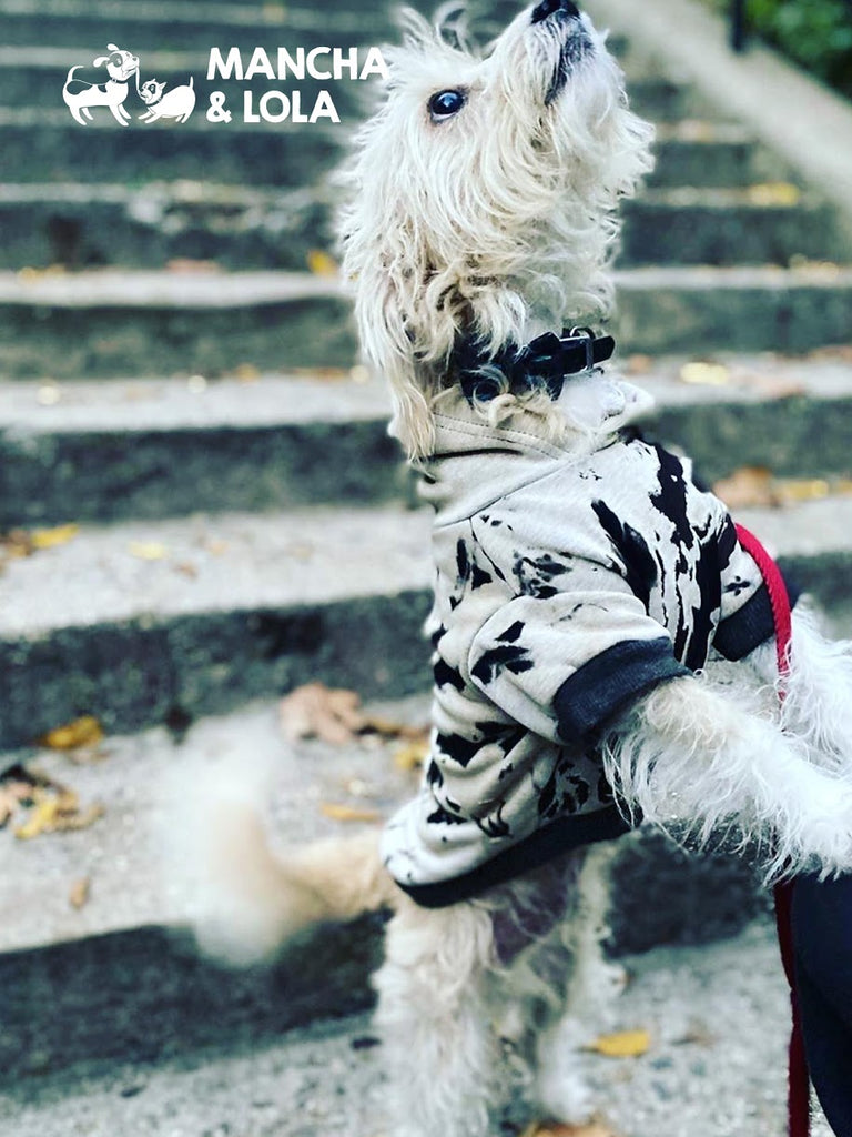 Lola Hooded Vest: Built for Comfort, and Quarantine - One Dog Woof