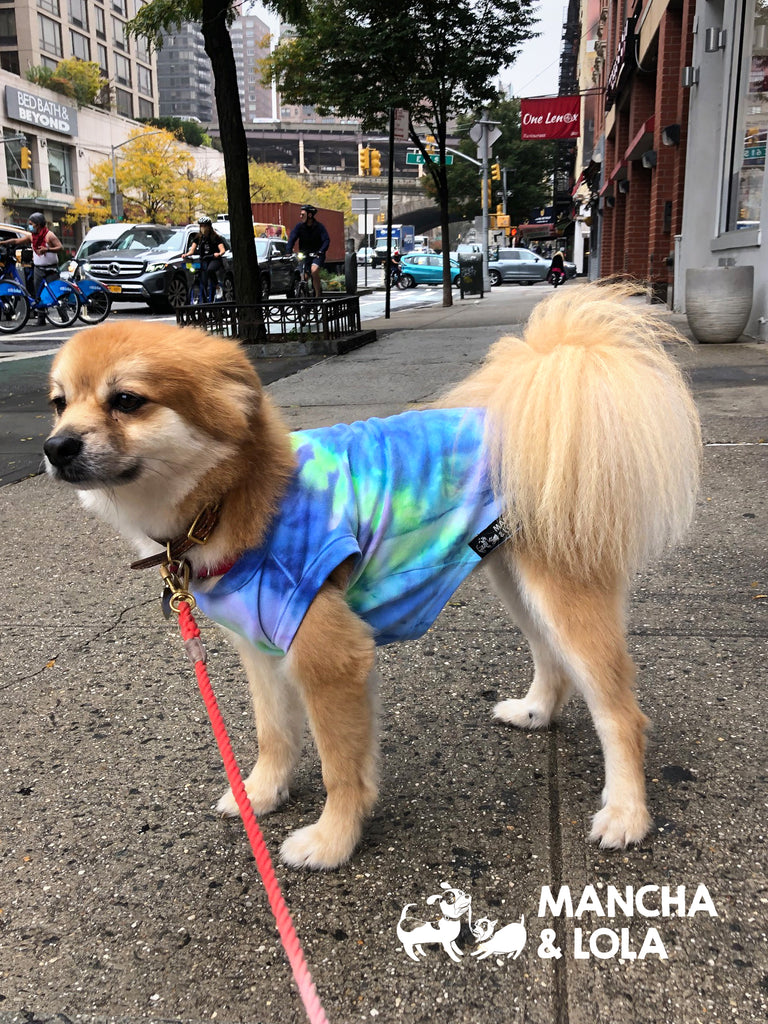 Groovy T-Shirt for Dogs