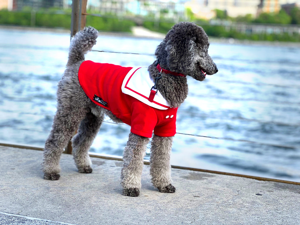 Red Color Dog Clothes