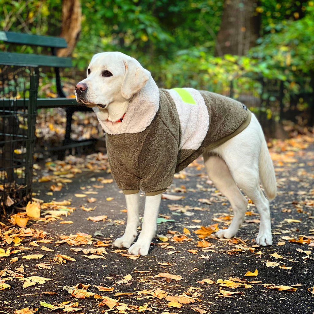Fall Dog Clothes | Shop Fall Dresses for Dogs - Mancha & Lola MANCHAANDLOLA Fall Dog Clothes | Shop Fall Dresses for Dogs - Mancha & Lola MANCHAANDLOLA