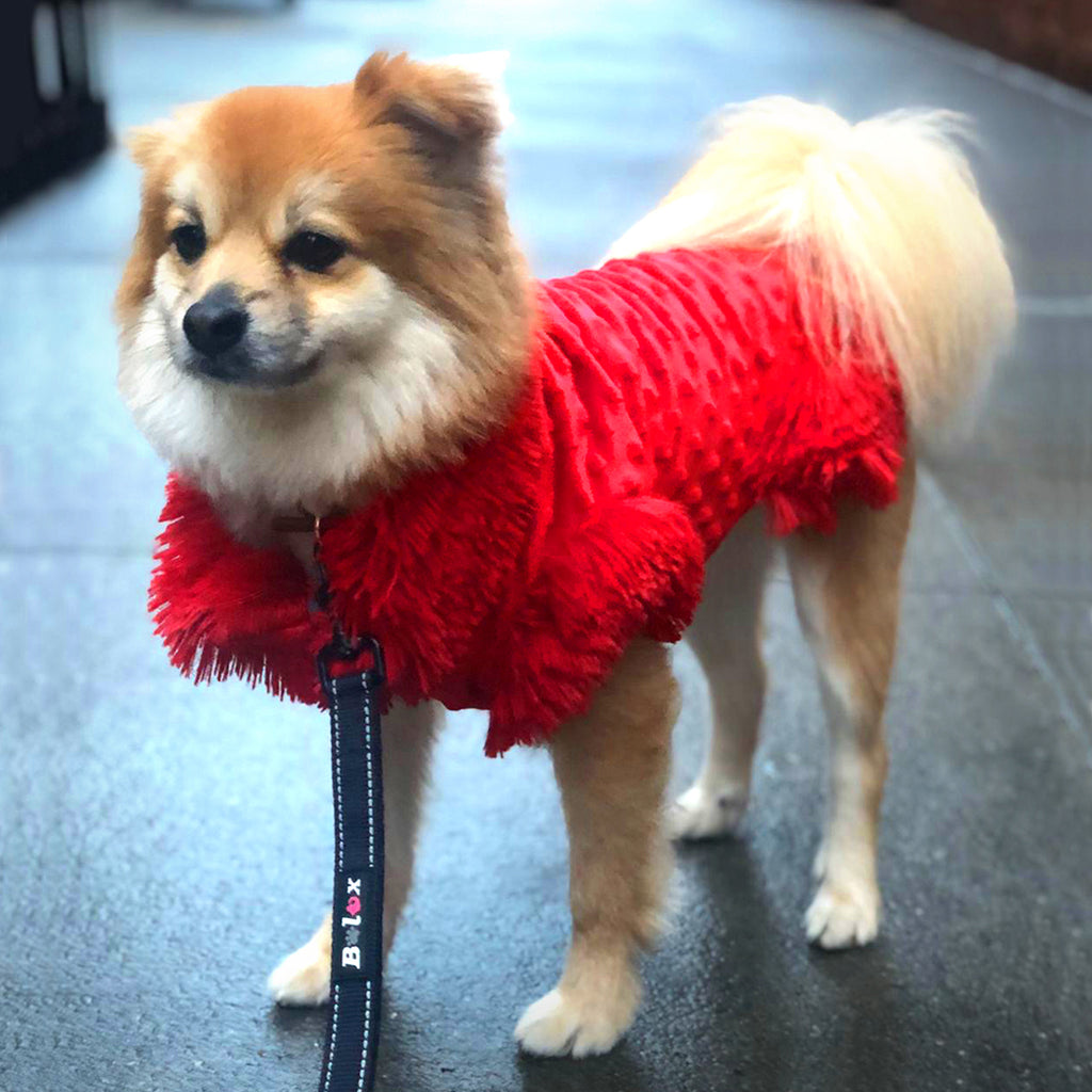 "Red Passion Dog Mini Dress "