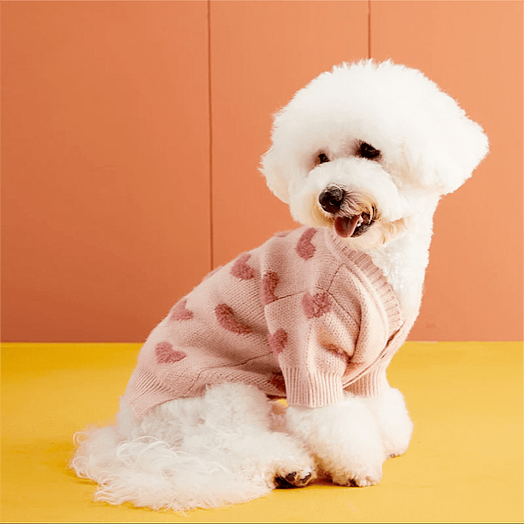 Valentine´s Day Dog Fall Clothes