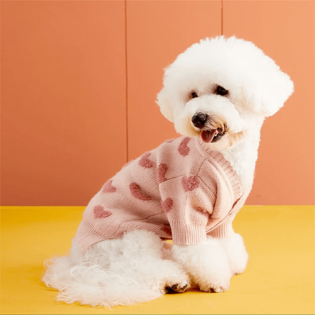Fall Dog Clothes | Shop Fall Dresses for Dogs - Mancha & Lola   MANCHAANDLOLA