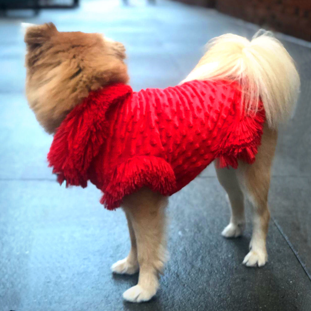 Red Passion Dog Mini Dress
